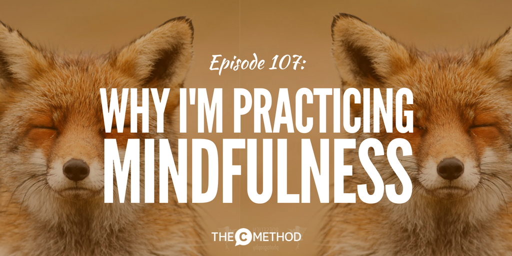 mindfulness leadership confidence communication with christina canters